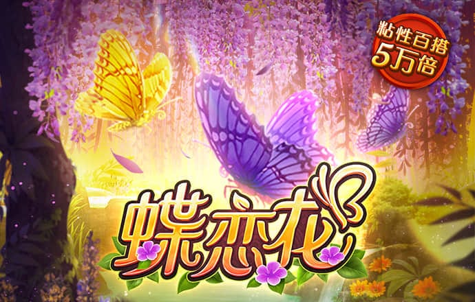 246天天天彩天好彩资料大全二四